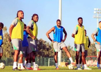 Super Eagles players