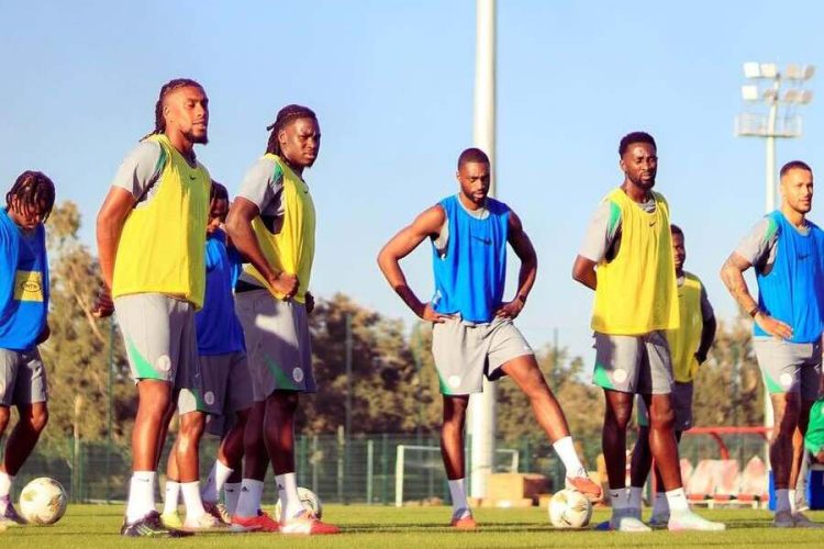 Super Eagles players