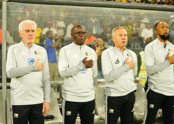 South Africa national team coaching staff