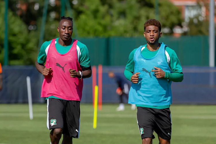 Ivory Coast national team training